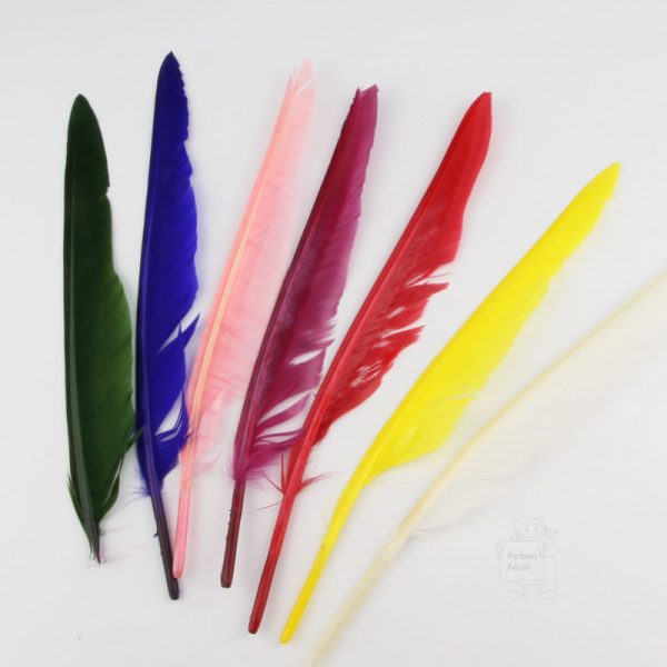 piume-indiane